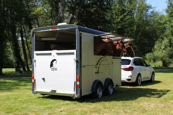 Cheval Liberté Maxi 3 in anthracite