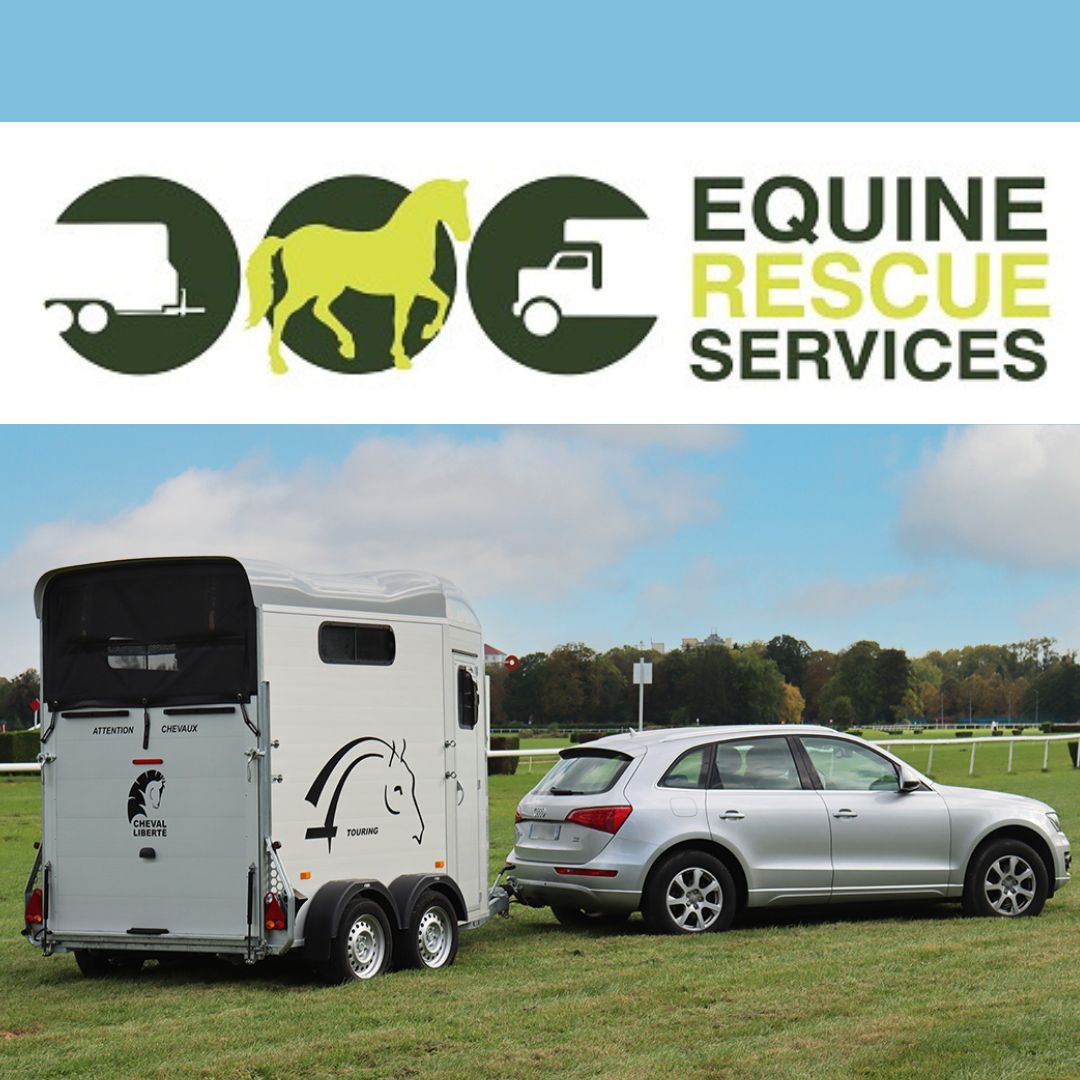 Equine Rescue with every brand new Cheval