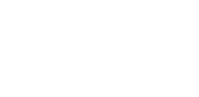 Repairs Horsebox<br>and Trailer Icon