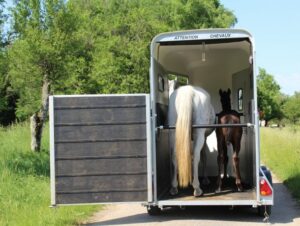 Cheval Liberte Touring One Horse Trailer - and with a clever back door system