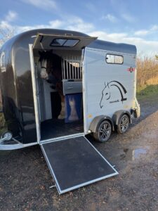 Customers photo of a real 18hh