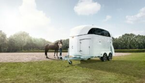 The Bockmann Master range