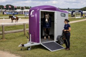 Cheval Liberte Touring Country in Purple